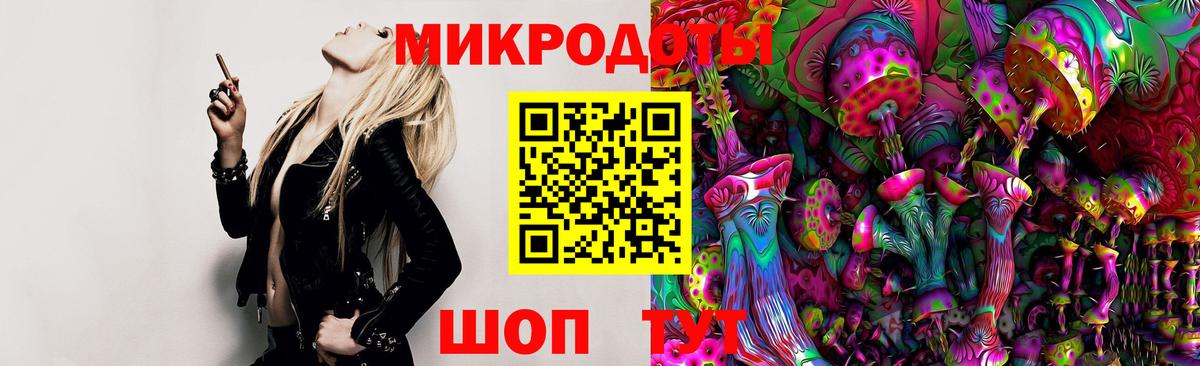Псилоцибиновые грибы Cubensis Димитровград
