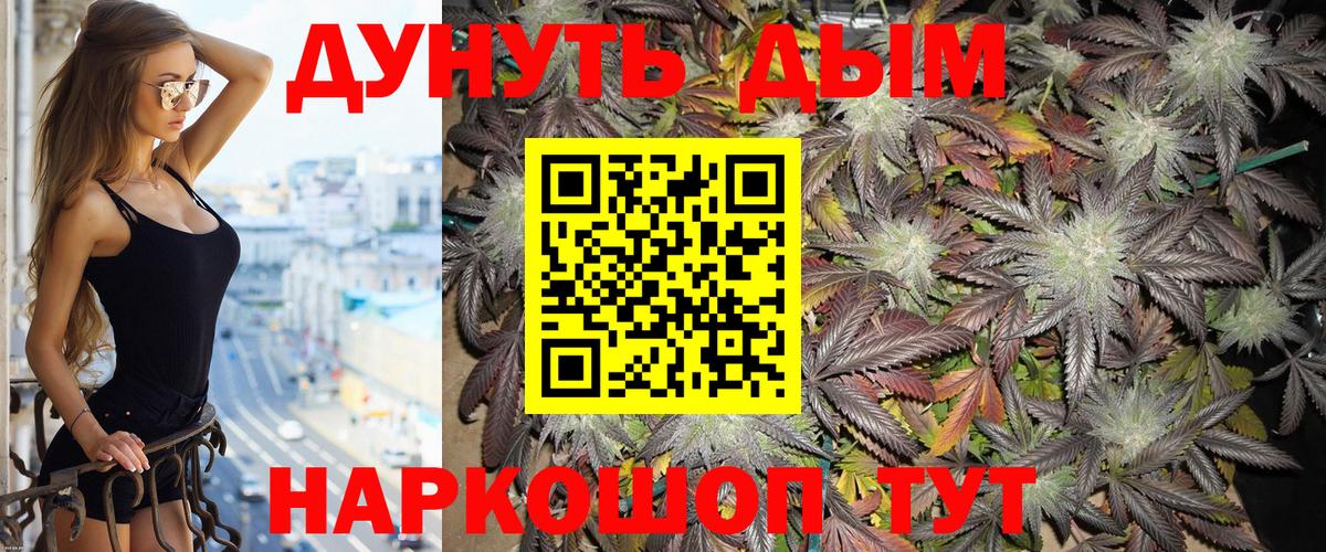 A-PVP Димитровград